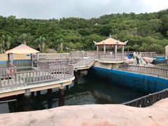 -广东惠东海龟国家级自然保护区