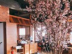 -辛氏火炉·韩式古法烤肉(松北店)