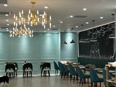 -安格丽娜·狗咖·猫咖羊驼咖(春熙路百盛商场店)