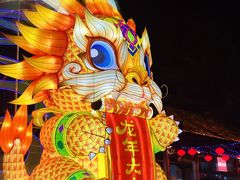 -趵突泉景区