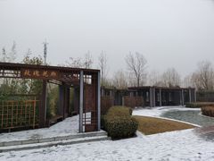 -坝河休闲公园