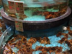 -西贝海鲜汇(槐安路店)