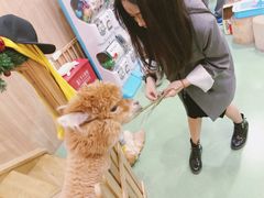-藦茜花园宠物主题亲子互动体验馆(国顺东路店)