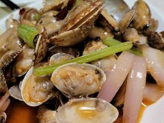 香辣花蛤-香满锅老北京羊蝎子火锅·家常菜(新街口店)