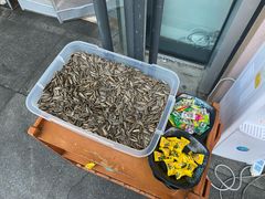 -华府九号海鲜烧烤大排档(龙域店)