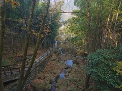 -藏龙百瀑风景区