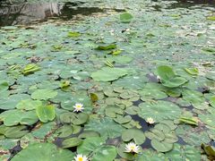 -宏村-南湖书院