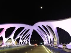 -星光岛