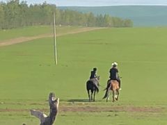 -顶顶汤火牛排火锅·经典铜锅涮肉