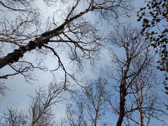 -洛阳白云山景区