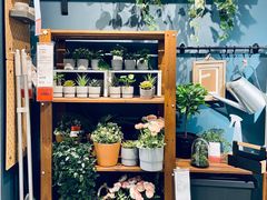 -宜家家居(哈尔滨商场店)