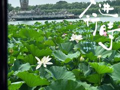 -南戴河国际娱乐中心