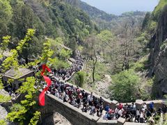 -泰山风景名胜区