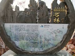 -千岛湖石林