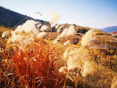 -呼吸森林·生态农庄农家乐私房菜