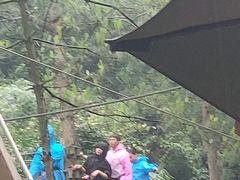 -梦幻奥陶纪景区