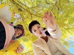 -钓鱼台国宾馆