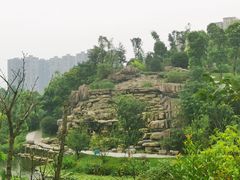 -东岳体育公园