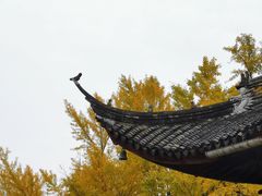 -西园戒幢律寺