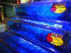 -八仔大富楼·河鲜(西江店)