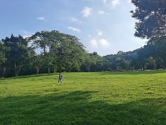 -莲花山公园