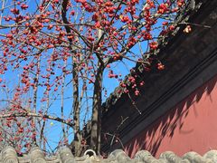 -承恩寺