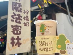 -猫的魔法密林(衣裳街店)