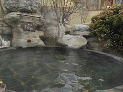 -仁爱团泊湖温泉中心