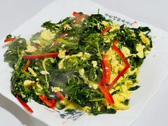 苜蓿鸡蛋-煲来饱去冷水鱼