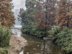 -重庆彩云湖湿地公园