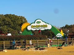 -苏州太湖西山岛开心农场