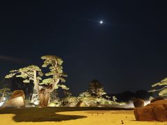 -罗红摄影艺术馆