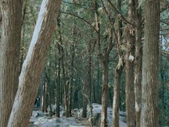 -云龙山