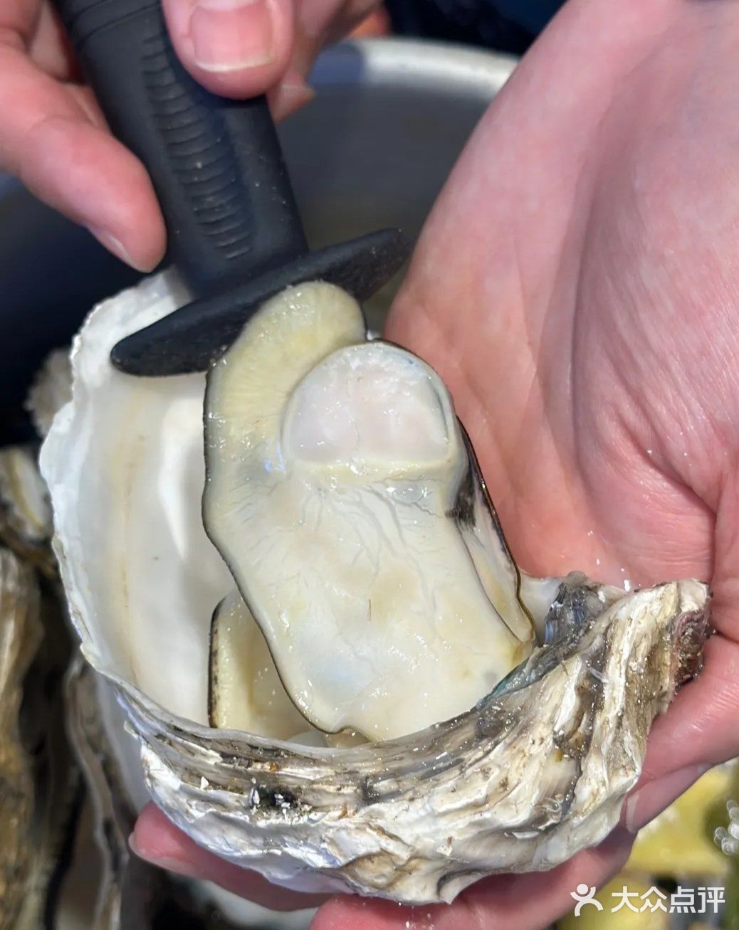 荆州餐饮的金字塔