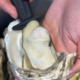 荆州餐饮的金字塔