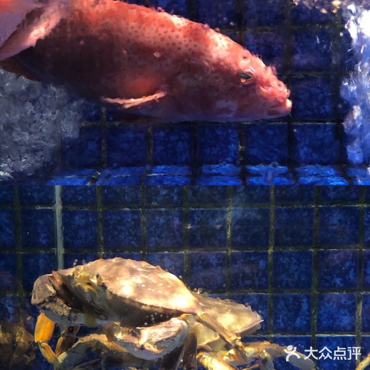 珠海20年地道顺德菜