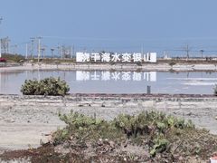 -莺歌海盐场