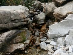 -京八珍(和平东桥店)