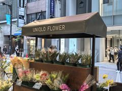 -优衣库(银座店)