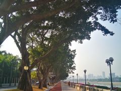 -二沙岛艺术公园