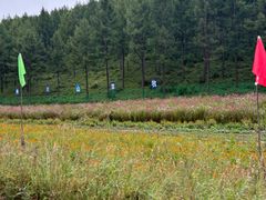 -塞罕坝国家级自然保护区