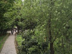 -同里国家湿地公园