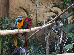 -杭州开元森泊度假乐园