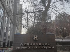 -西安赛瑞喜来登大酒店