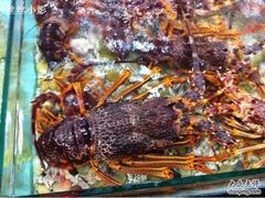 -渔民新村(番禺总店)