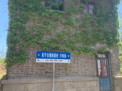 -日照海滨国家森林公园