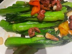 -羽鸽集·乳鸽专门店·地道顺德菜(岭南站店)