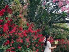 -杭州城北体育公园