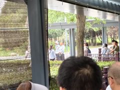 -秦始皇帝陵博物院-丽山园