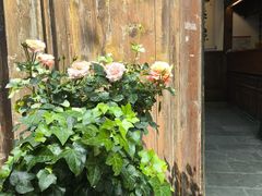 -见山书院